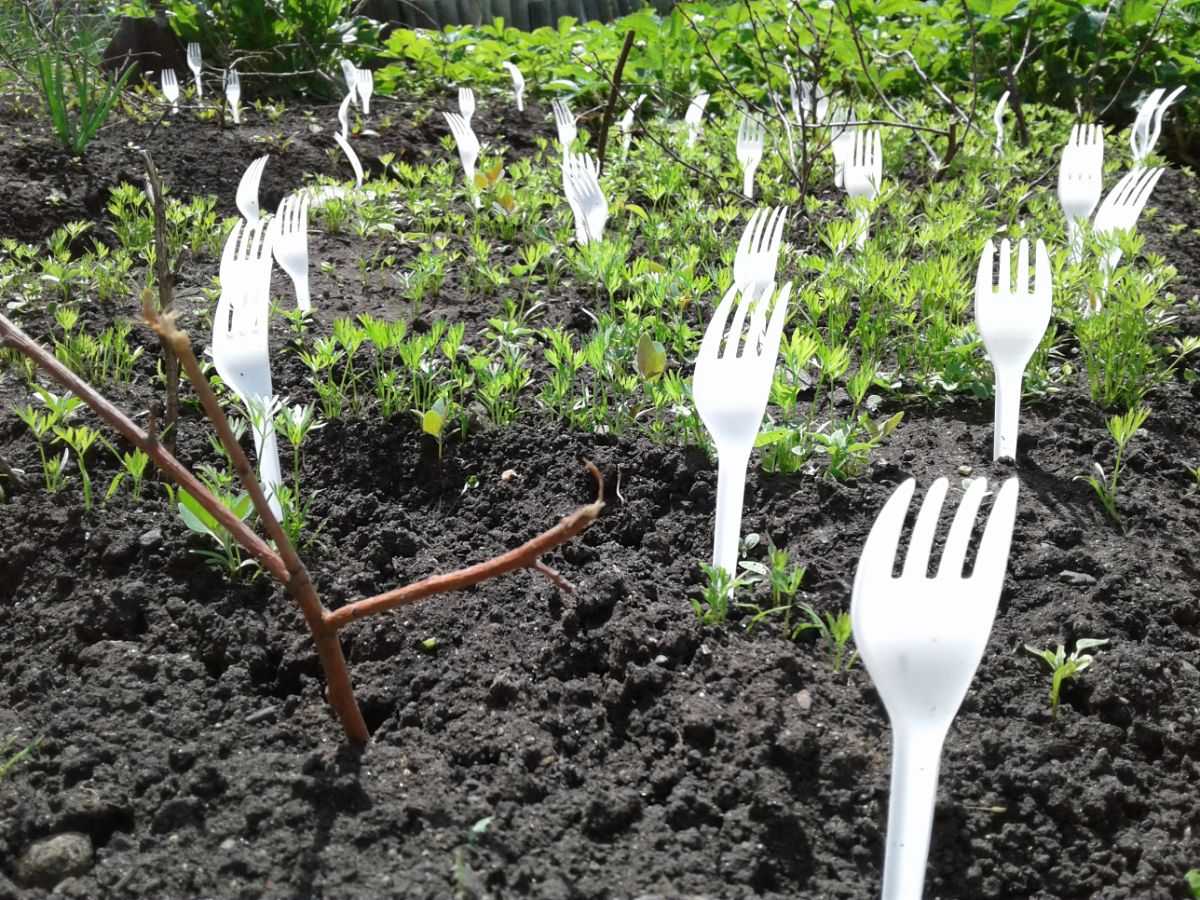 花园里的塑料叉子