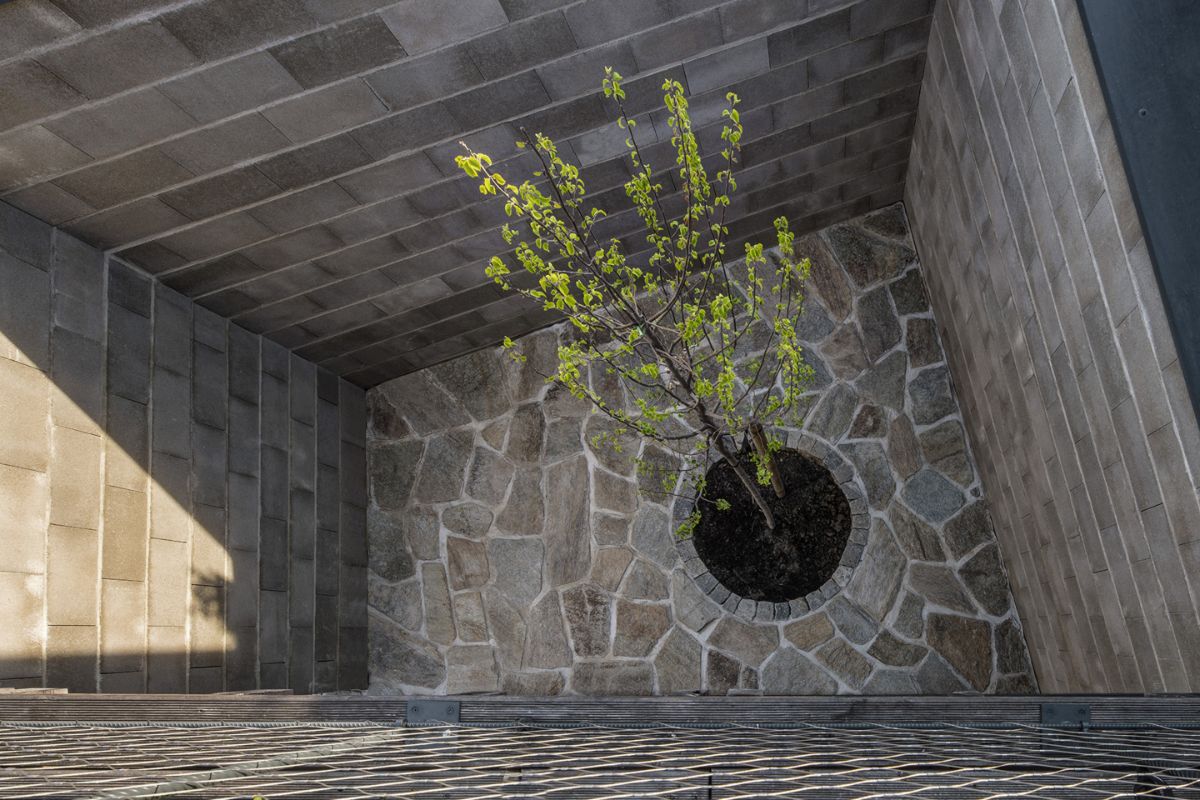 一株植物生长在停车场的一个小洞里，周围是砖墙和石头铺路。