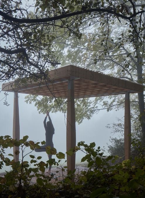 这张照片提供了Yogapoint结构的后方视图，以周围的植物和树木为特色，以及笼罩该地区的薄雾。