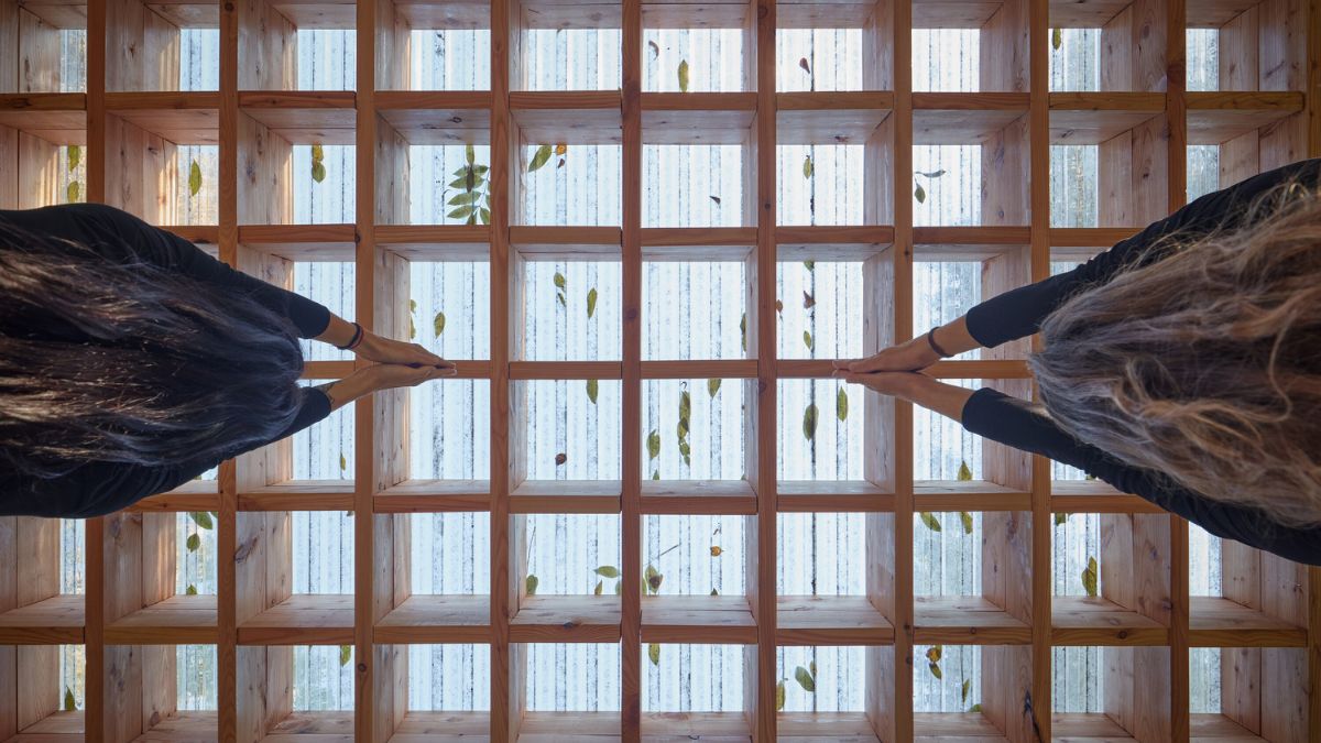 通过这张图片，观众可以欣赏到Yogapoint屋顶承载结构的细节，由木网格和遮阳板条组成。