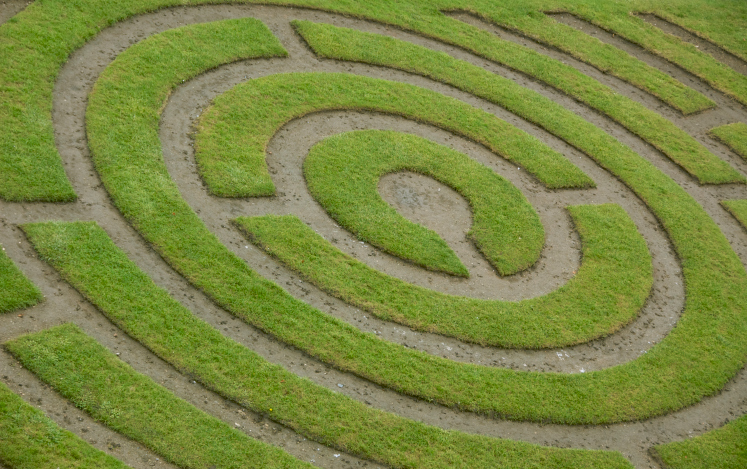 精心设计的圆形草地迷宫
