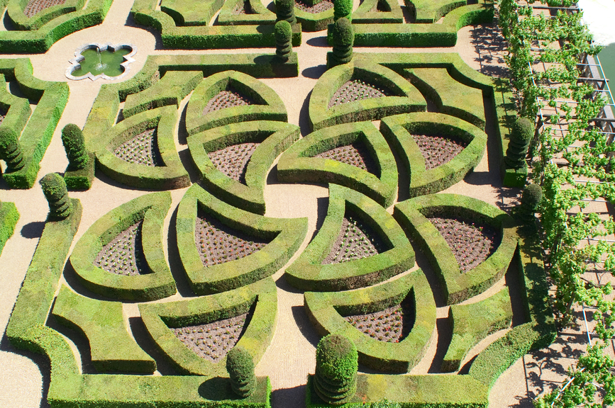 美丽的树篱几何形状布置成迷宫般的图案